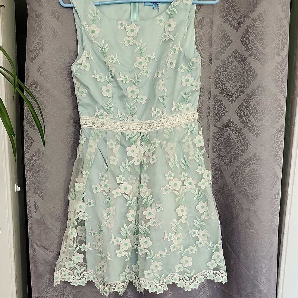 Seafoam green embroidered floral dress